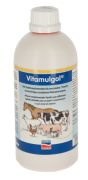   VITAMULGOL 500ML