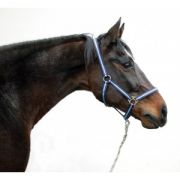   Ktfk Hippo Kk/Vilgoskk Cob (2)