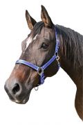   Ktfk Mustang kk/fekete Cob (2)