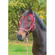   LGYELLENZS SZEMVD, STTPIROS, PONY